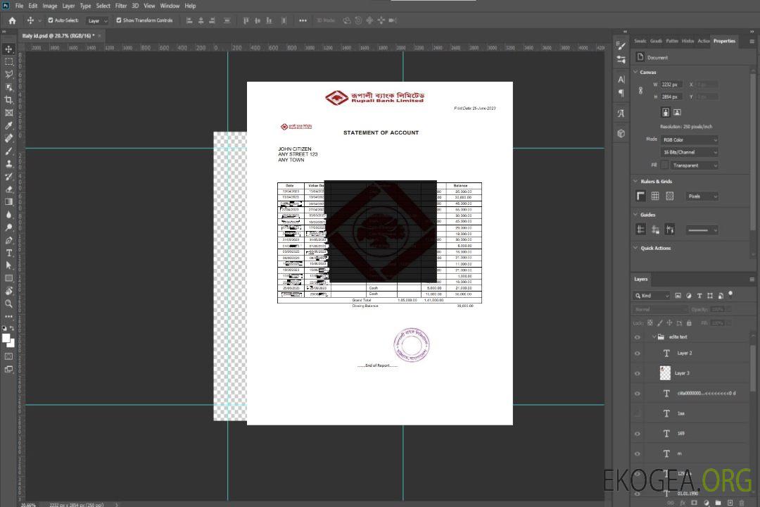 Modèle de relevé bancaire India Rupali Limited, format Word et PDF template Modèle de relevé bancaire India Rupali Limited, format Word et PDF template